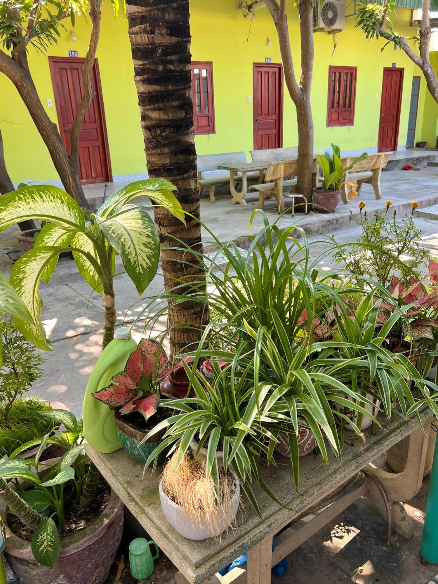 Duc Thao Guest House Mũi Né Extérieur photo