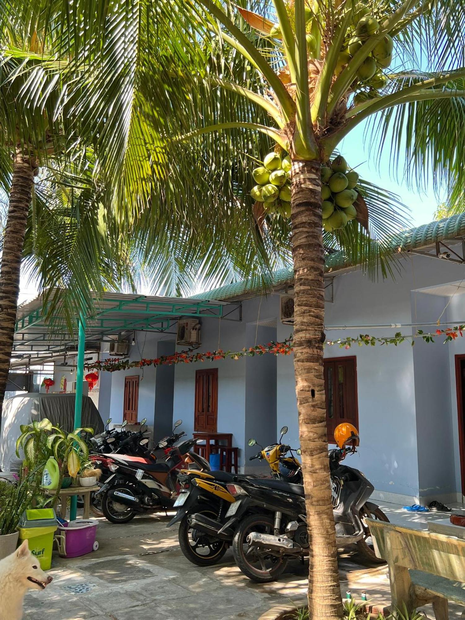 Duc Thao Guest House Mũi Né Extérieur photo