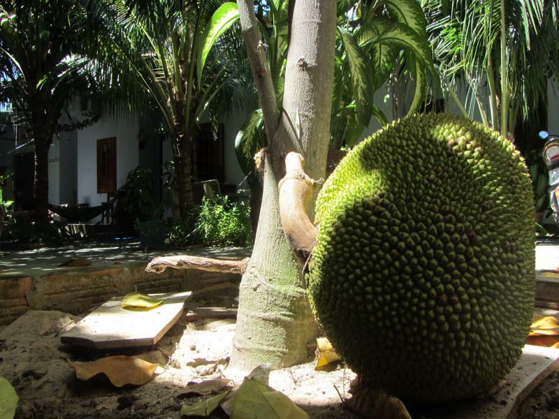 Duc Thao Guest House Mũi Né Extérieur photo