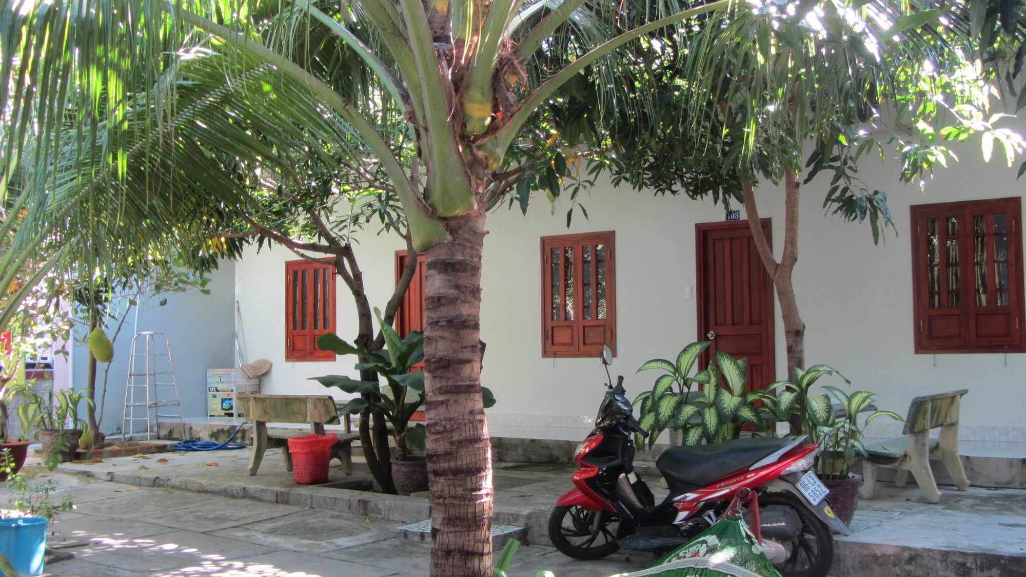 Duc Thao Guest House Mũi Né Extérieur photo