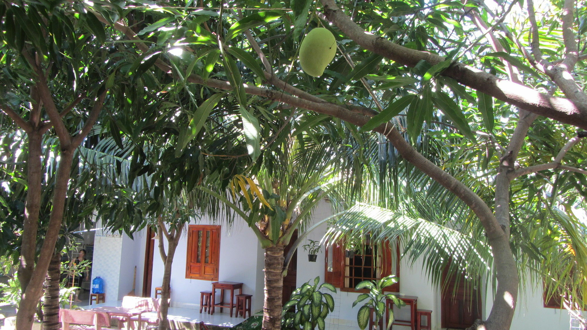 Duc Thao Guest House Mũi Né Extérieur photo