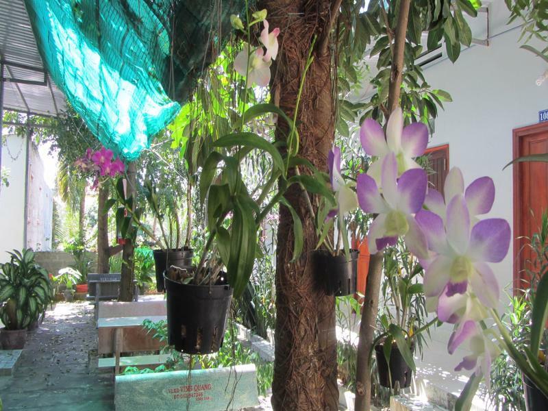 Duc Thao Guest House Mũi Né Extérieur photo