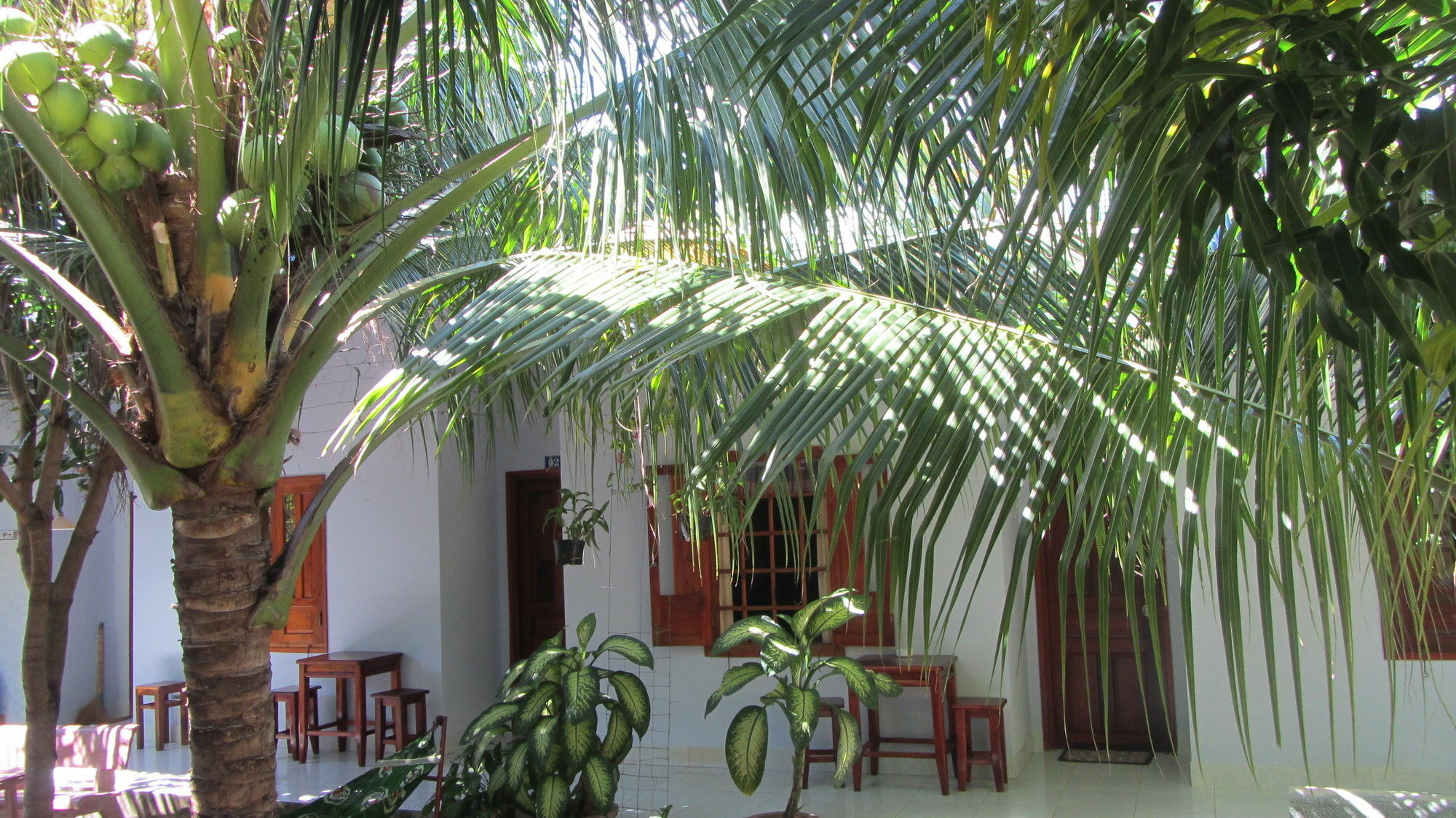 Duc Thao Guest House Mũi Né Extérieur photo