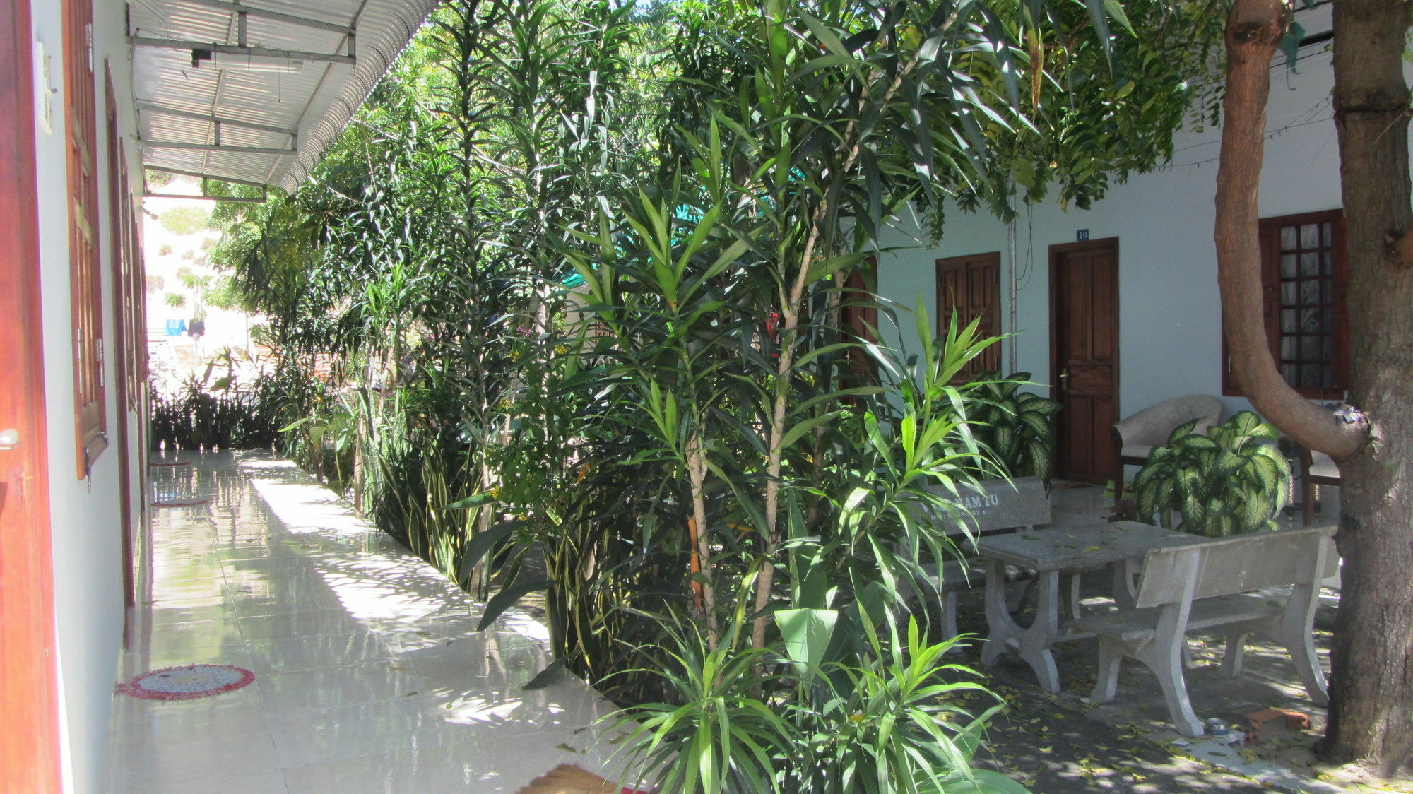 Duc Thao Guest House Mũi Né Extérieur photo