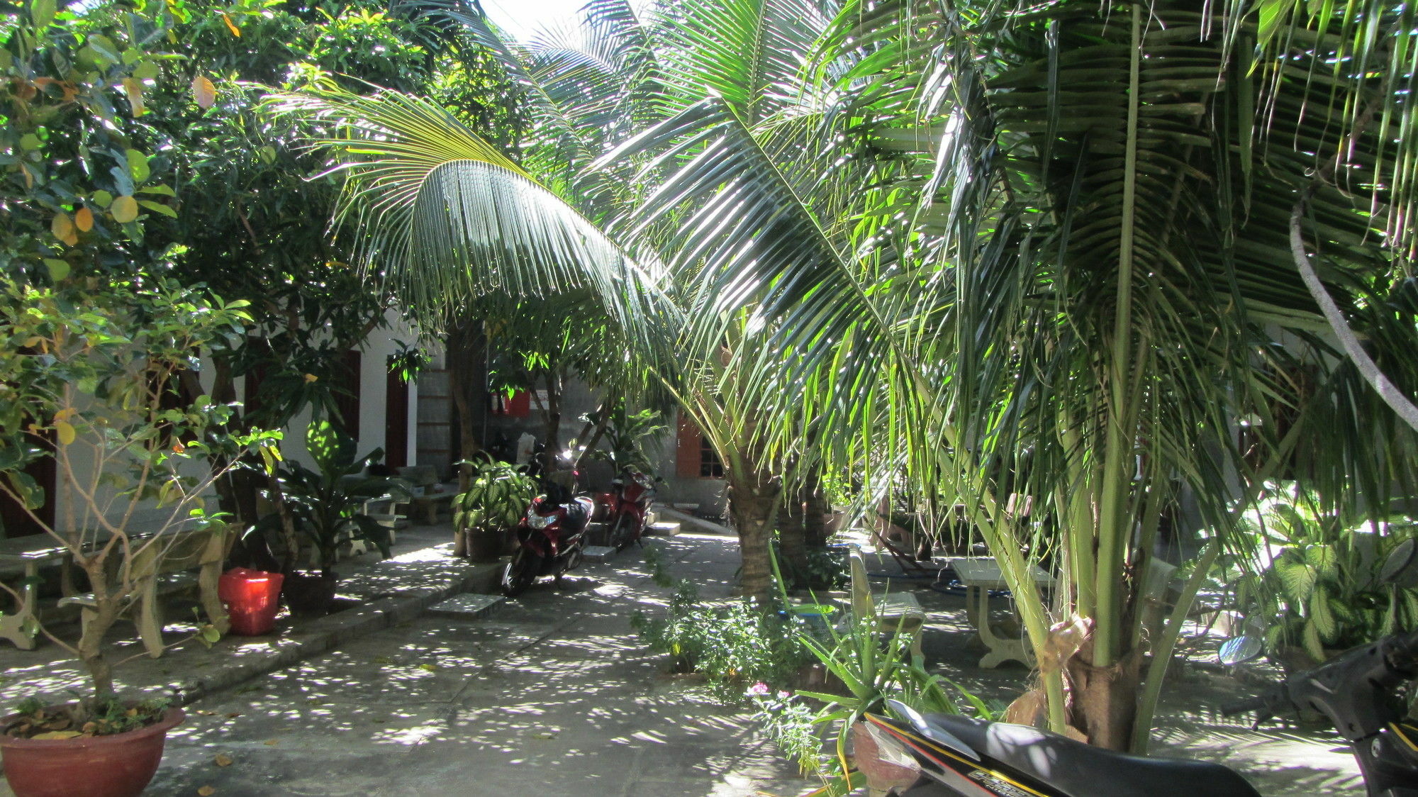 Duc Thao Guest House Mũi Né Extérieur photo