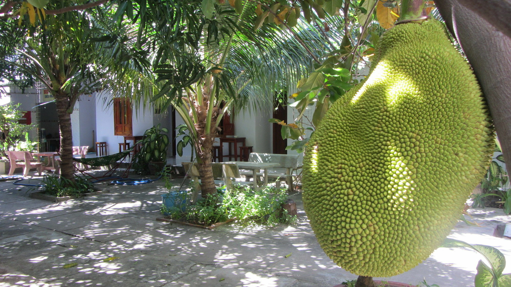 Duc Thao Guest House Mũi Né Extérieur photo